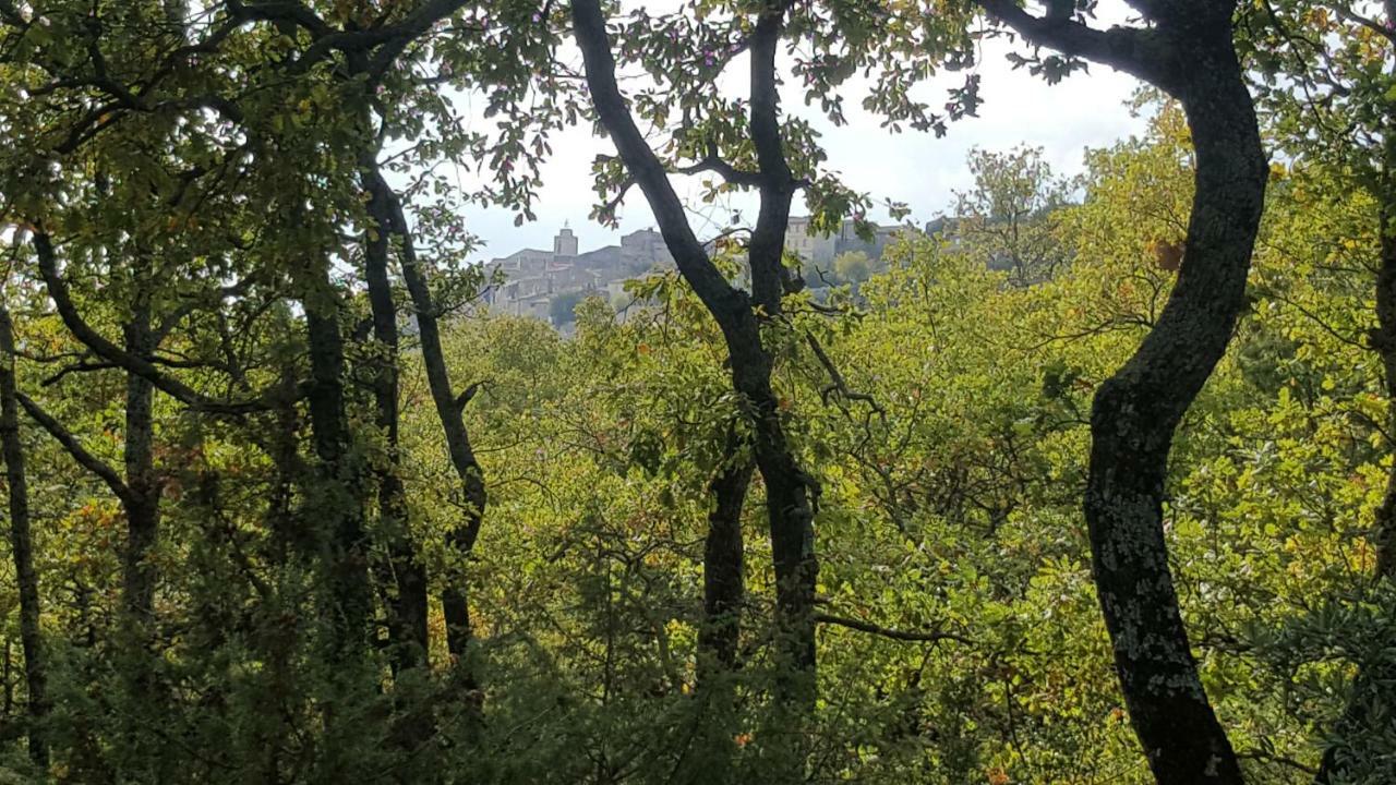 Les Rapieres Mireio Βίλα Gordes Εξωτερικό φωτογραφία